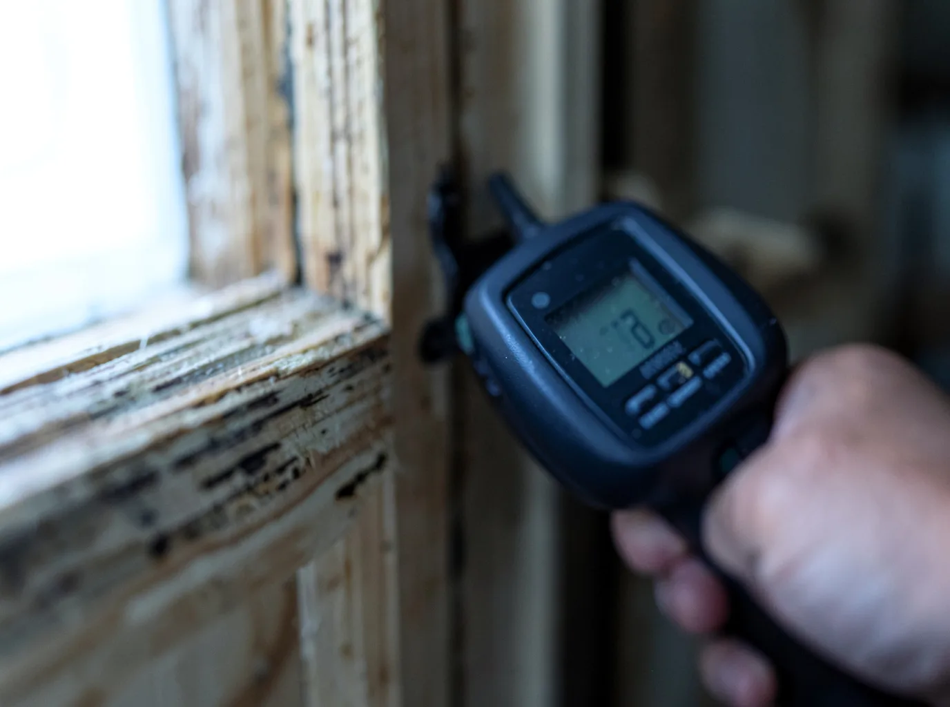 Ceiling Water Damage Repair in Ruby Valley, NV